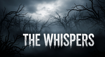 어두운 배경 속에서 흐릿하게 보이는